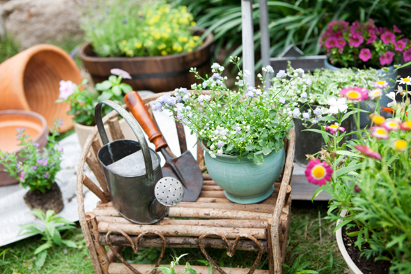 De tuin weer zomerklaar